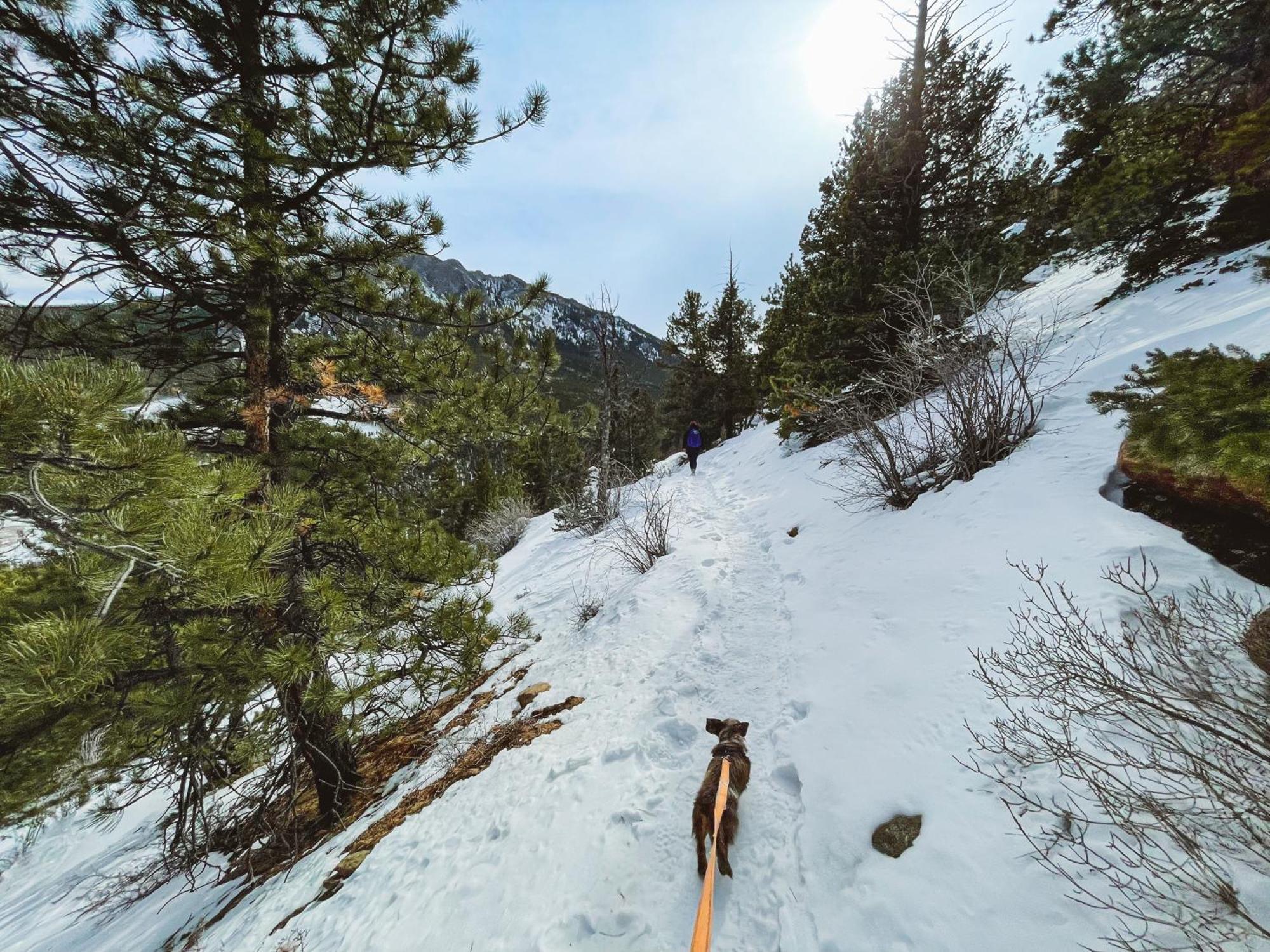 Holiday Inn Estes Park By Ihg Bagian luar foto